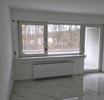 Wunderschöne kernsanierte Einliegerwohnung in Hückeswagen 9