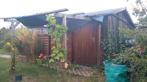 Foto - Schöner Kleingarten KGV 'Auf der Höhe' Holzhausen