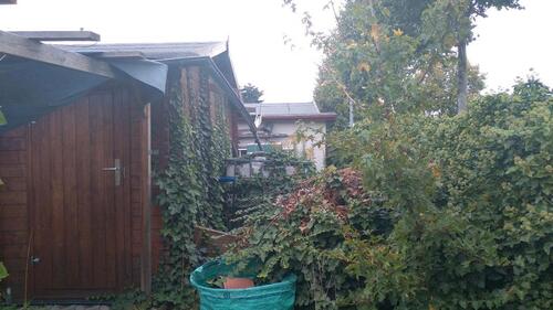 Foto - Grundst&uuml;ck zur Miete in Leipzig