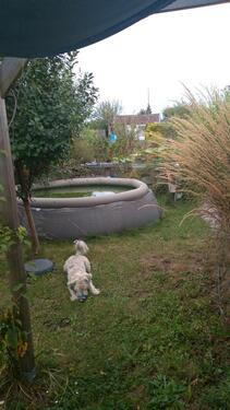 Foto - Grundst&uuml;ck in Leipzig