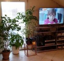 3-Zimmer-Wohnung in Radolfzell-Böhringen 1.5.26 - Radolfzell am Bodensee