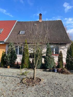 Foto - Doppelhaushälfte ca. 90 Wohnfläche, 803 qm Grund, provisionsfrei