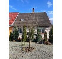 Doppelhaushälfte ca. 90 Wohnfläche, 803 qm Grund, provisionsfrei - Küssaberg