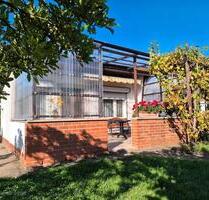 Garten Kleingarten Pachtgarten in Halle (Saale) abzugeben