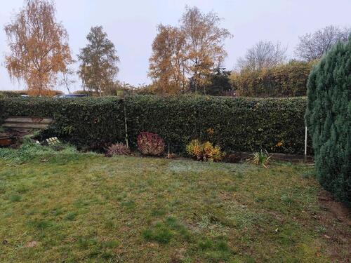 Foto - Grundst&uuml;ck in Wolmirstedt zur Miete