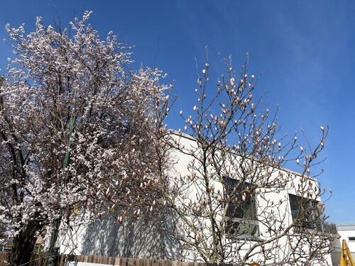 Foto - Top Gewerbefläche, Büro incl. WerkstattLager in Lurup