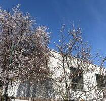 Top Gewerbefläche, Büro incl. WerkstattLager in Lurup - Hamburg Altona