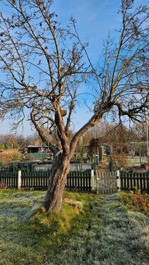 Foto - Grundst&uuml;ck in Lübeck