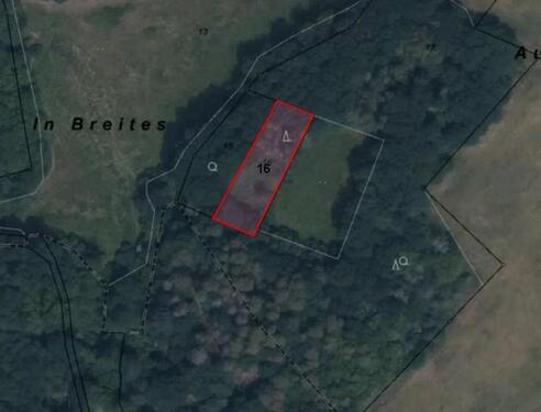 Foto - WaldflächeGrünland in Oberbrombach (HLO 125)