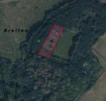 WaldflächeGrünland in Oberbrombach (HLO 125) - Brücken WaldflächeGrünland in Oberbrombach (HLO 125) - Brücken