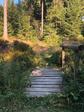 Foto - Ferienwohnung Hahnenklee Harz mit Balkon + WLAN