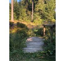 Ferienwohnung Hahnenklee Harz mit Balkon + WLAN - Fehmarn