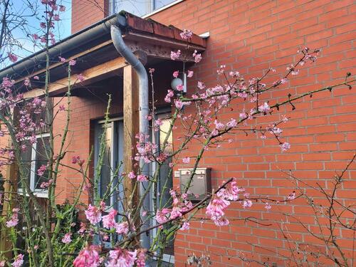 Foto - lichtdurchflutetes individuelles Einfamilienhaus
