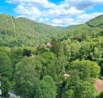 Wohnung mit Panoramablick zum Burgberg - Bad Harzburg