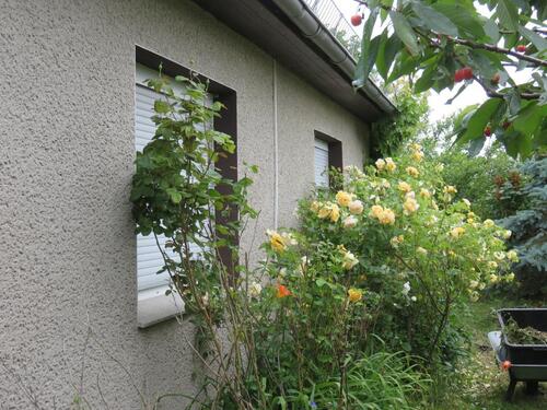 Foto - Haus in Ostseenähe zu verkaufen