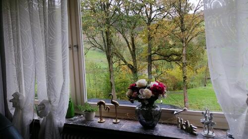 Foto - 