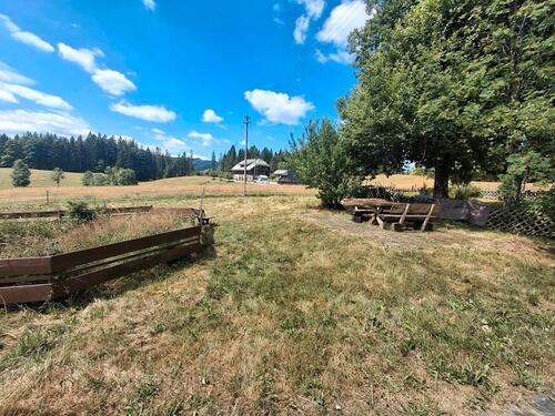 Foto - Etagenwohnung zur Miete in Feldberg (Schwarzwald)