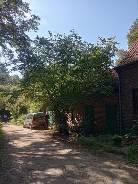 Foto - 11 Zimmer Einfamilienhaus zum Kaufen in Brüggen