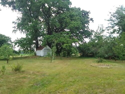 Foto - 4 Zimmer Einfamilienhaus zum Kaufen in Luckau
