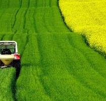 6,5 ha Acker und Grünland zu verpachten in Salzwedel