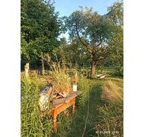 zwei Zimmer in einer WG auf dem Land - Liebenwalde