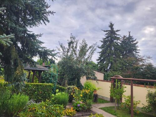 Foto - Einfamilienhaus in Calau zum Kaufen