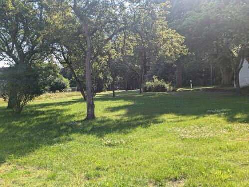 Foto - andere in Gingst