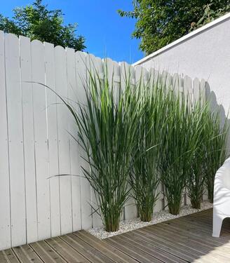 Foto - 2 Zimmer Terrassenwohnung zum Kaufen in Düsseldorf