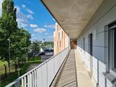 Foto - andere in Dresden