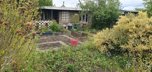 Foto - Kleiner Pachtgarten abzugeben - 300,00&nbsp;EUR Kaltmiete, ca.&nbsp; 0,00&nbsp;m&sup2;