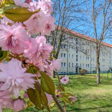 Foto - Nur wenige Treppenstufen.. - 306,00 EUR Kaltmiete, ca.  47,00 m²