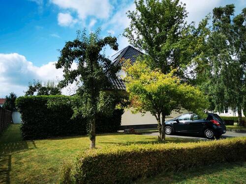 Foto - Einfamilienhaus in Esterwegen zum Kaufen
