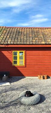 Foto - Ferienhaus Schweden Kalmarsund umgebauter Stall