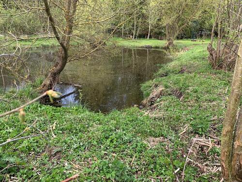 Foto - Grundst&uuml;ck zur Miete in Jettingen-Scheppach