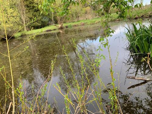 Foto - Grundst&uuml;ck in Jettingen-Scheppach zur Miete