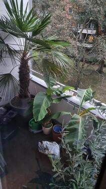 Foto - andere in Köln