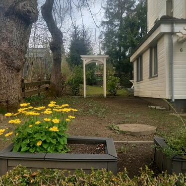 Foto - 13 Zimmer Mehrfamilienhaus, Wohnhaus zum Kaufen in Goslar