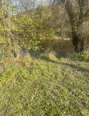 Foto - Grundstück zur Miete in Stühlingen