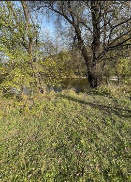 Foto - Grundstück in Stühlingen