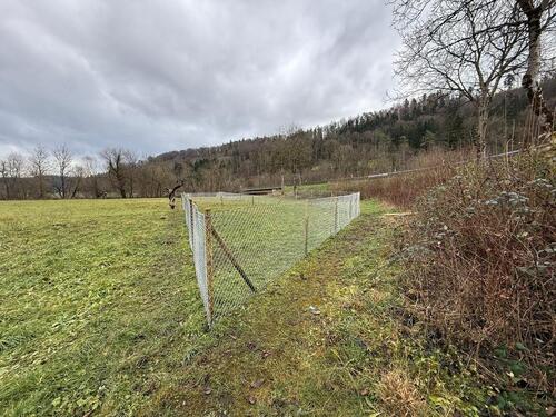Foto - Grundstück in Stühlingen zur Miete