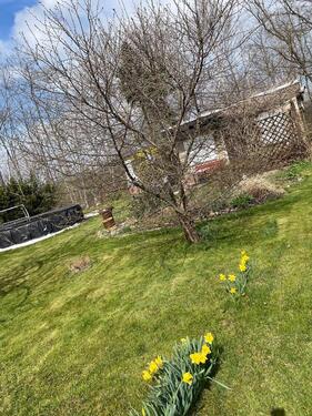 Foto - Grundst&uuml;ck zur Miete in Zwickau