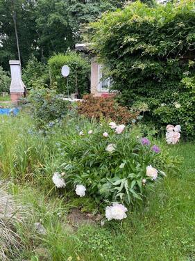 Foto - Grundst&uuml;ck in Zwickau zur Miete