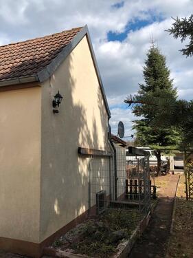 Foto - Einfamilienhaus in Wittenberg Lutherstadt zum Kaufen