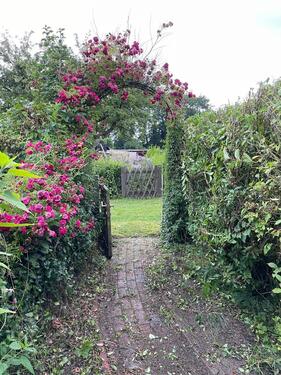 Foto - Kleingarten bei Kiel-SuchsdorfKronshagen