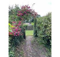 Kleingarten bei Kiel-SuchsdorfKronshagen - Quarnbek