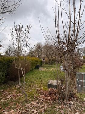 Foto - Grundst&uuml;ck in Quarnbek