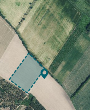 Foto - Biete 12,4 ha Ackerland in Groß Kreutz, Krielow an