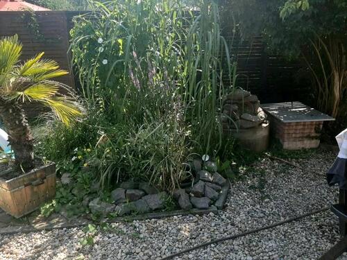 Foto - Grundst&uuml;ck zur Miete in Eilenburg