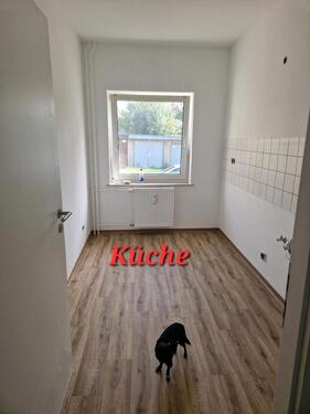 Foto - Erdgeschoßwohnung in Sassnitz zur Miete