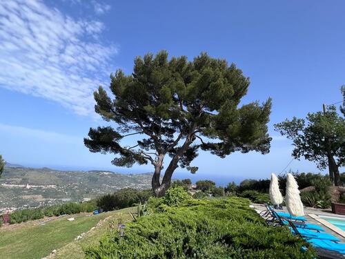 Foto - andere in München